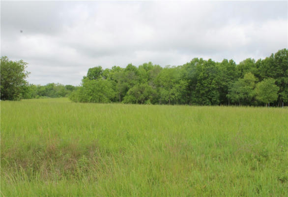 LOT 1 COUNTY HWY 30, SHELBYVILLE, IL 62565 - Image 1